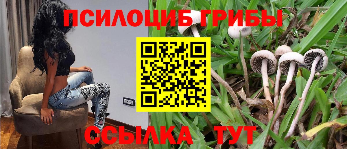 Галлюциногенные грибы Psilocybine cubensis  Вход с VPN  Орехово-Зуево 