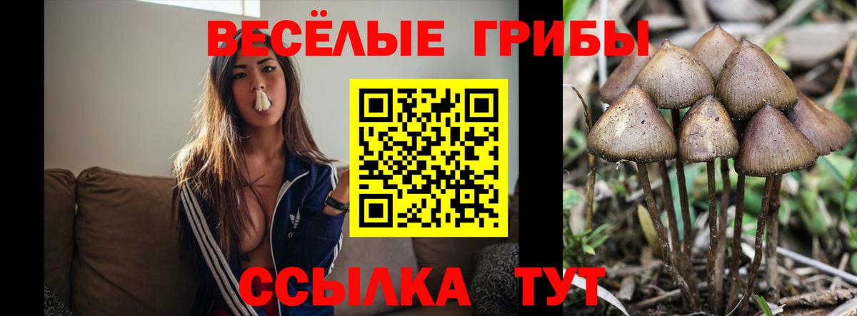 Псилоцибиновые грибы мухоморы Орехово-Зуево